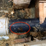 株式会社リスペックの外壁塗装・防水工事の施工写真