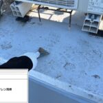 株式会社リスペックの外壁塗装・防水工事の施工写真