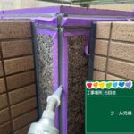 株式会社リスペックの外壁塗装・防水工事の施工写真