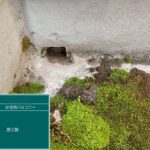 株式会社リスペックの外壁塗装・防水工事の施工写真