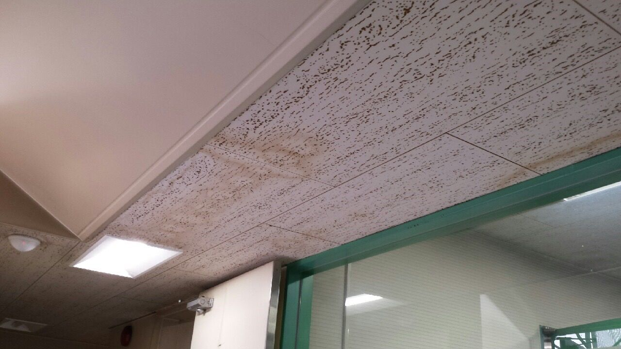 雨漏りを放置したらどうなる?の参考画像